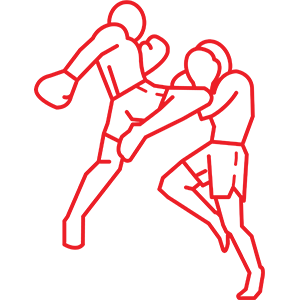 Kickboxing icon